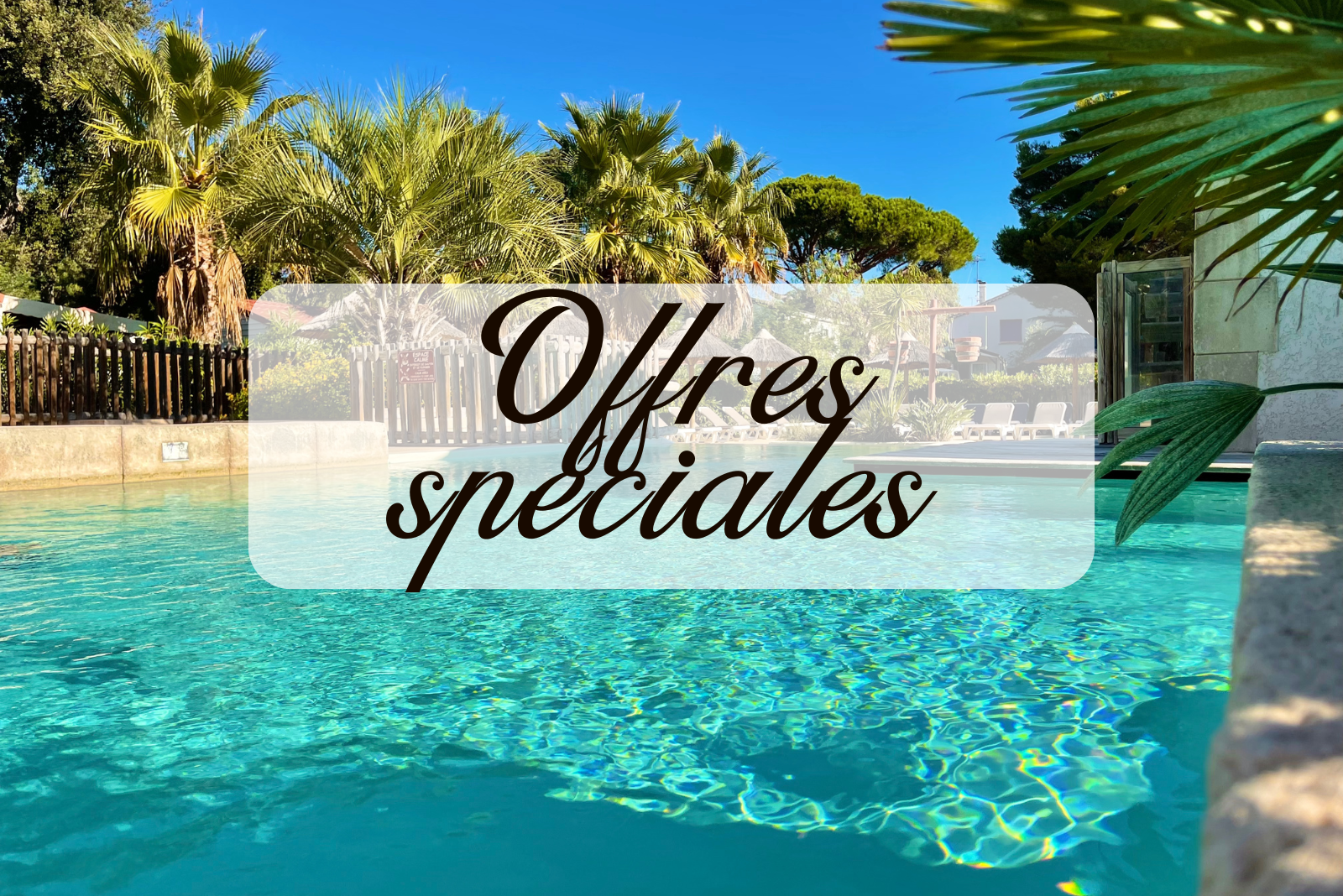 Enjoy Your Best Vacation With Our Service